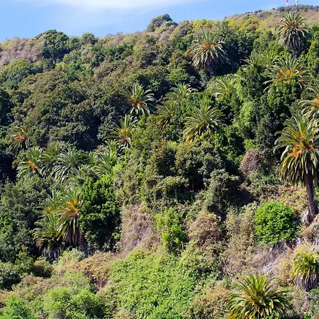 Villa Casa El Aguila The Hedonist - Es-279-1 *