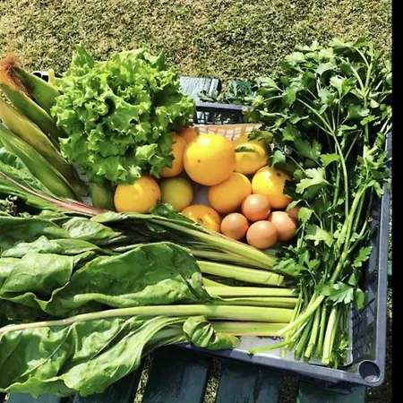 Casa El Aguila The Hedonist - Es-279-1 *