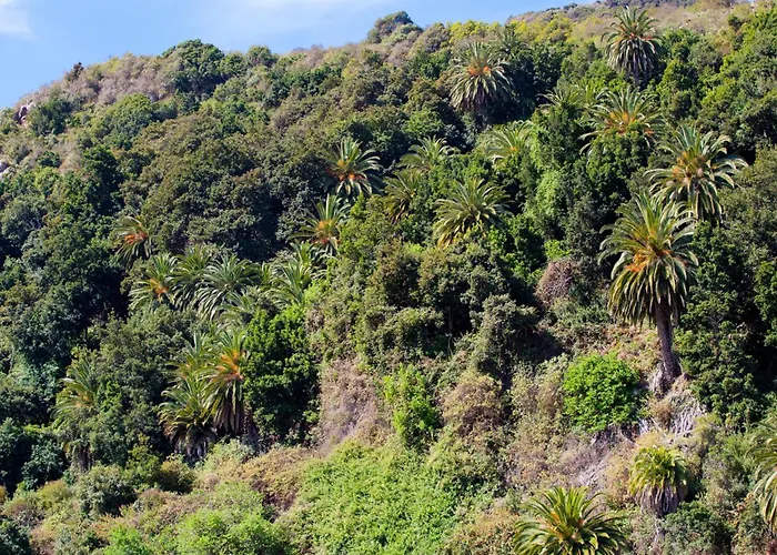 בית נופש Casa De Madera, Naturaleza, Vistas Espectaculares - 2 Pers. - Es-279-1 *