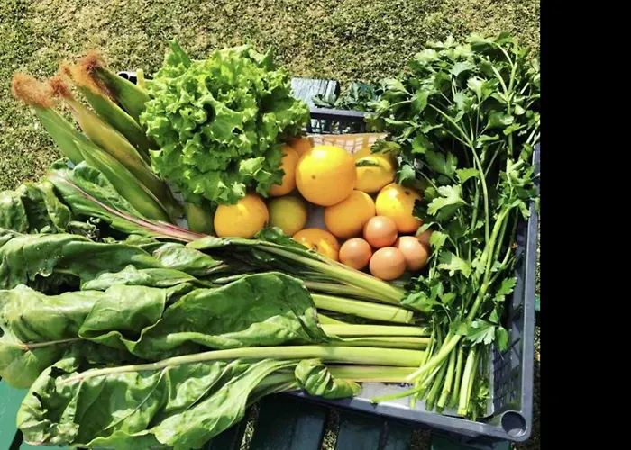 Casa El Aguila The Hedonist - Es-279-1 *