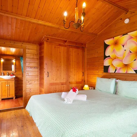 Casa De Madera, Naturaleza, Vistas Espectaculares - 2 Pers. - Es-279-1 Hébergement de vacances Icod De Los Vinos